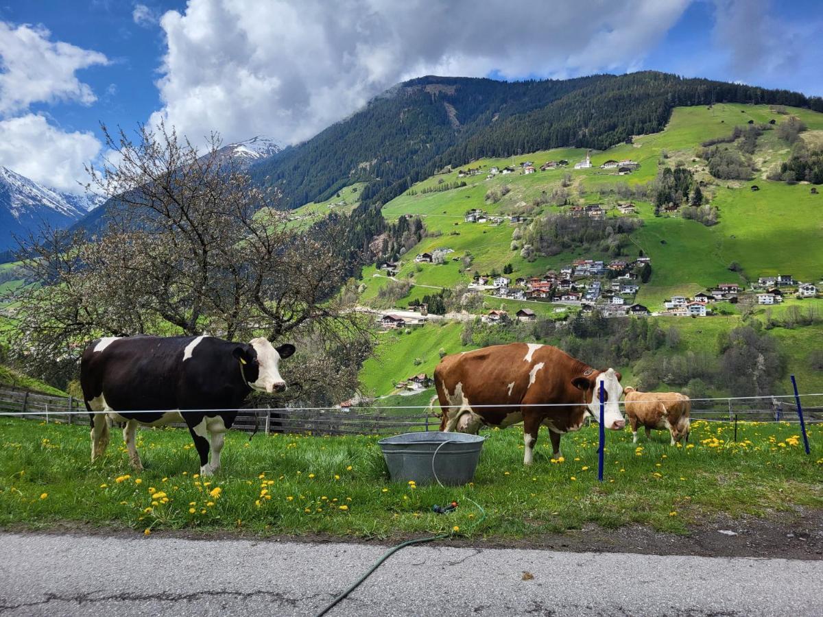 Apartmán Bergbauernhof-Grinzens Exteriér fotografie