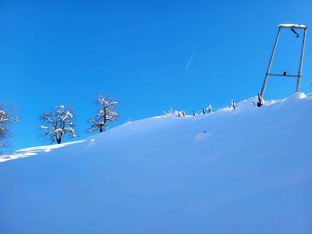 Apartmán Bergbauernhof-Grinzens Exteriér fotografie